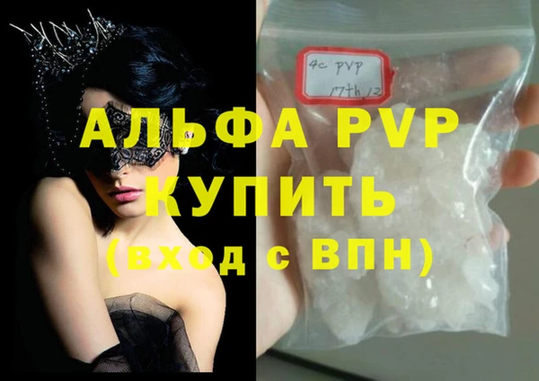 стаф Алзамай
