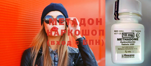 стаф Алзамай