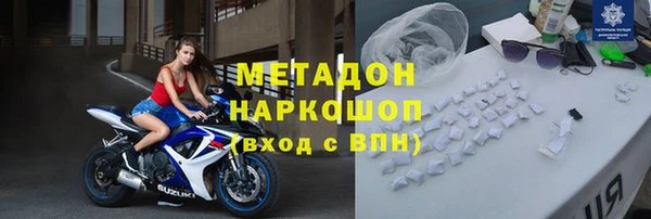 стаф Алзамай
