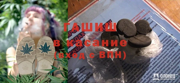 стаф Алзамай