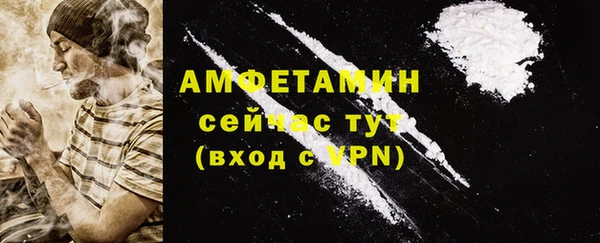 стаф Алзамай