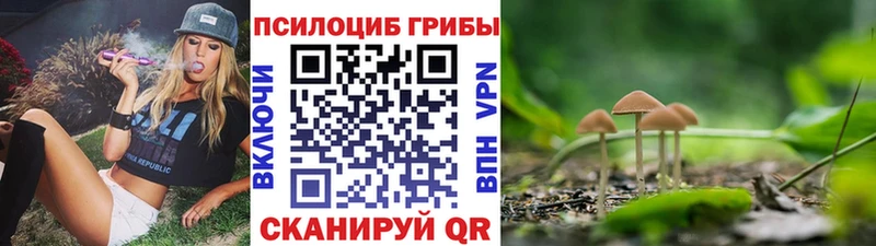 omg ссылки  Фатеж  Галлюциногенные грибы Magic Shrooms 